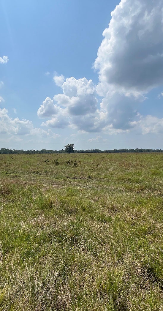 img-granjas-emerging-proyecto-1-min