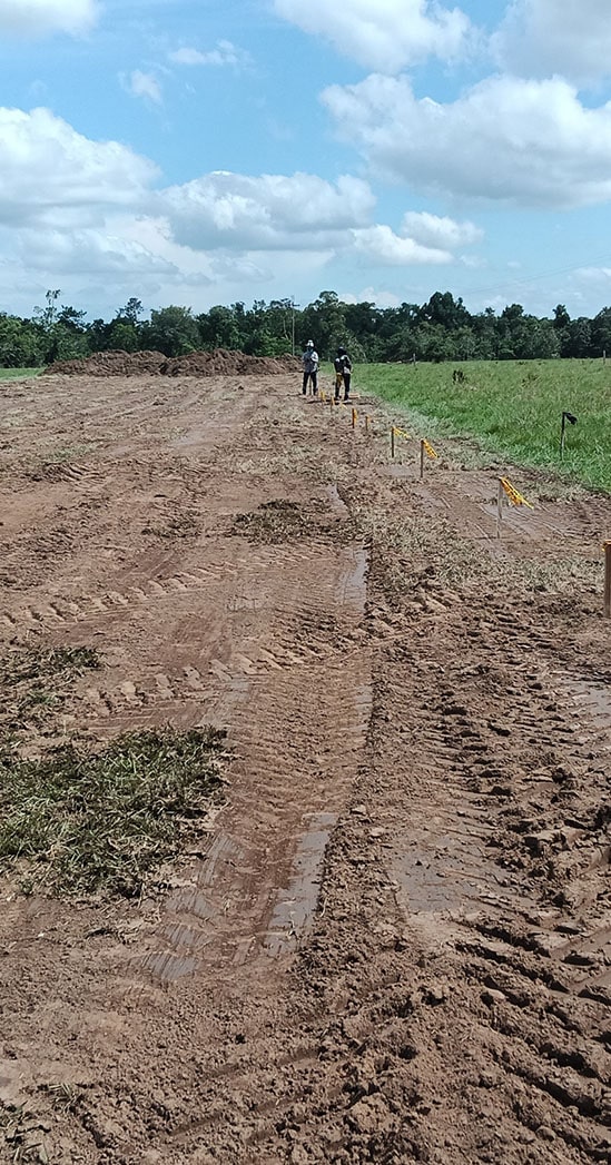 img-granjas-emerging-proyecto-4-min