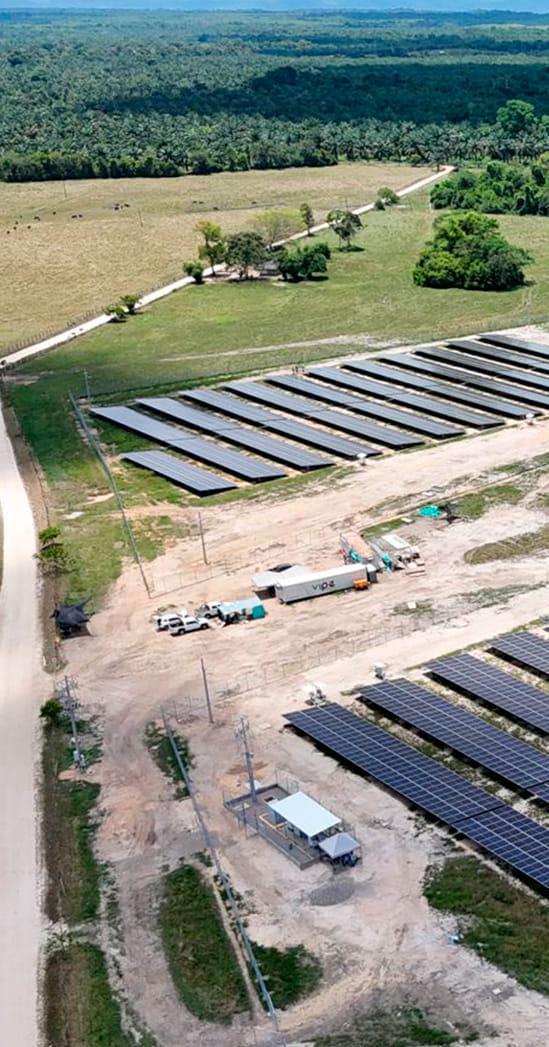 planta-emerging-2026-1