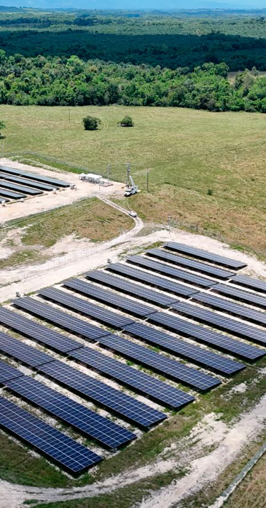 planta-emerging-2026-2